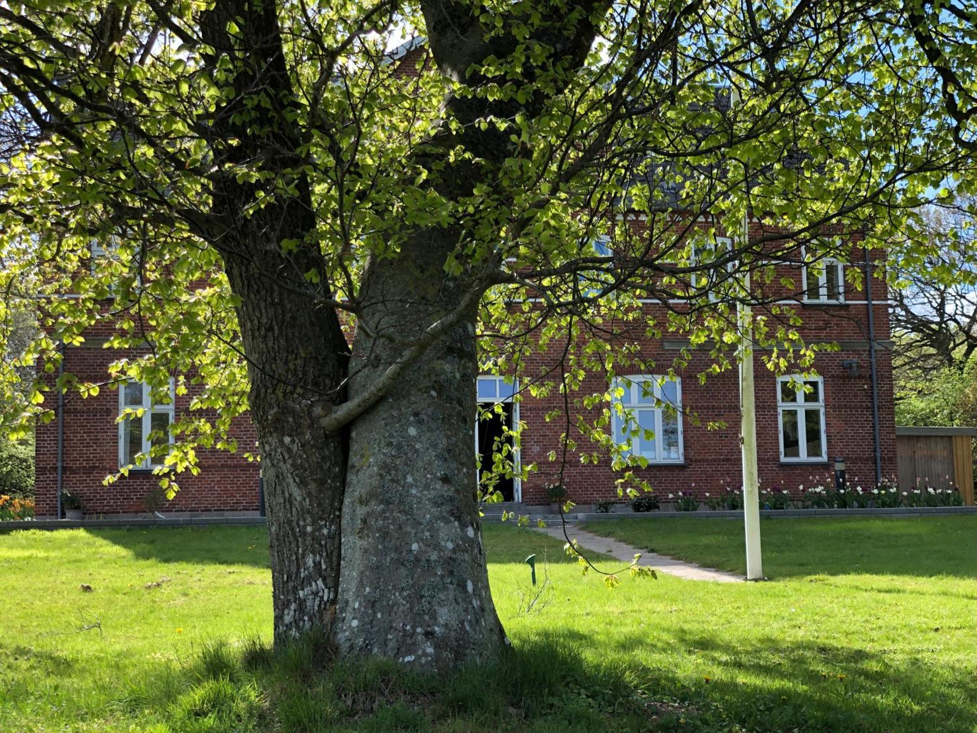 Rolykke Hotel Sæby Exterior photo